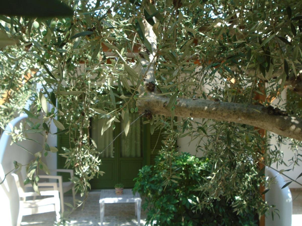 Leros Eleonas Apartments アリンダ エクステリア 写真