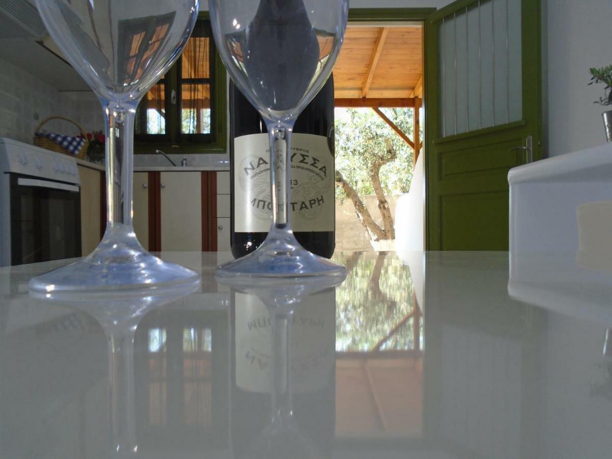 Leros Eleonas Apartments アリンダ エクステリア 写真